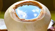 Young Sweet Coconut...It's so good for you
