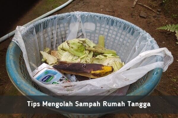 tips mengolah sampah rumah tangga