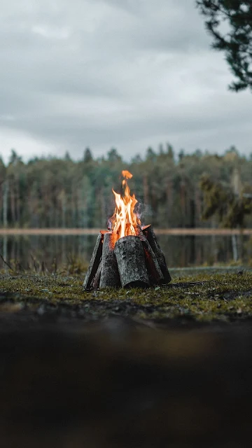 Campfire, Camping, Nature, Lake. Forest