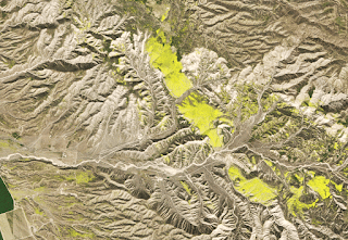 California's Wildflower Super Bloom seen from Space