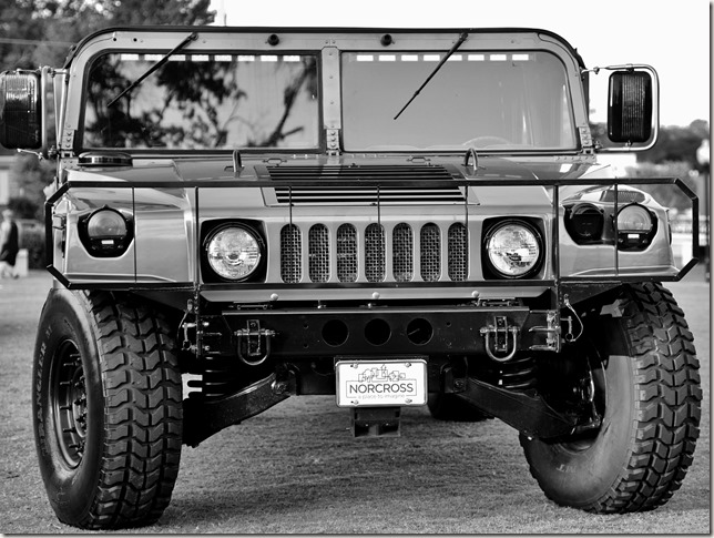 The Beast