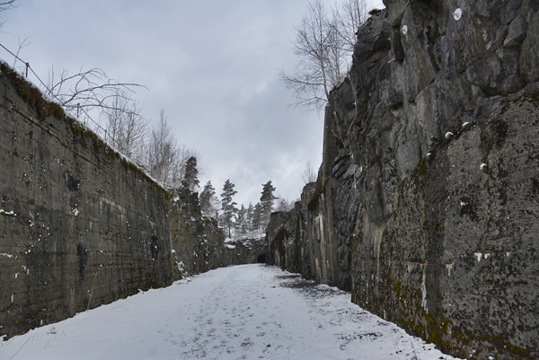 Trøgstad fort