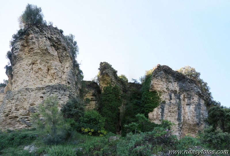 Tajo del Abanico - Encinas Borrachas - rio Audalazar - Alpandeire