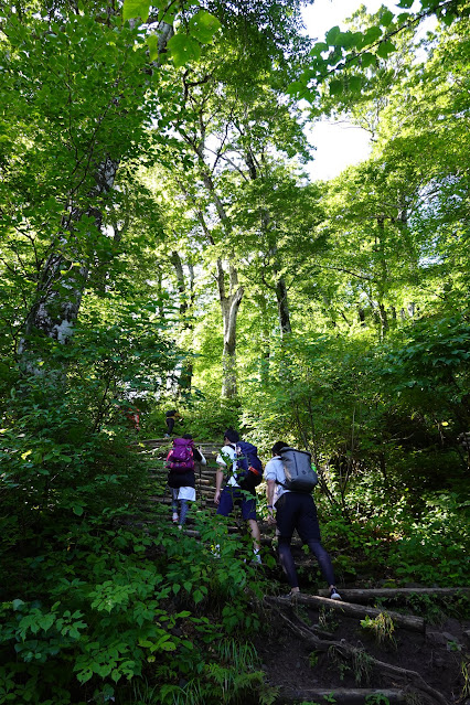 鳥取県西伯郡大山町大山　夏山登山道