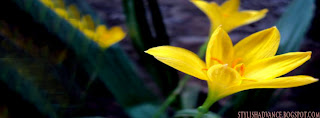 stylish_flower_fbcover copy