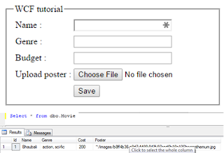 How to insert record into Sql Server database using WCF service