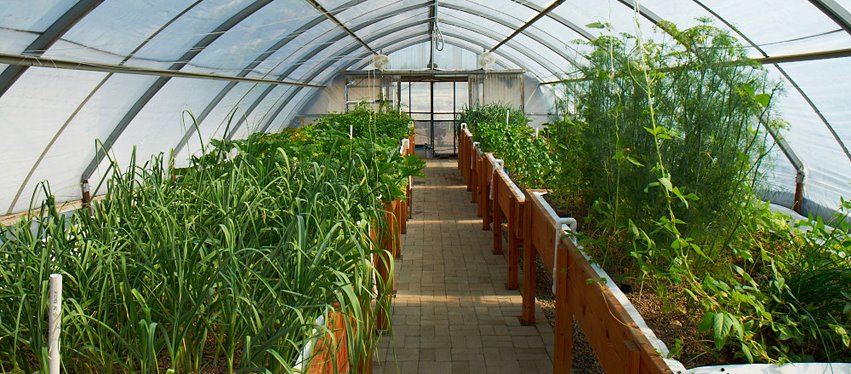 Newport Beach Farmers' Market: October 2012