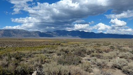 P1050264