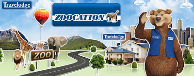 zoocation banner