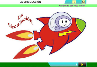 http://www.ceiploreto.es/sugerencias/cplosangeles.juntaextremadura.net/web/curso_4/naturales_4/la_circulacion/la_circulacion.html