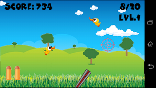 Duck Shooting