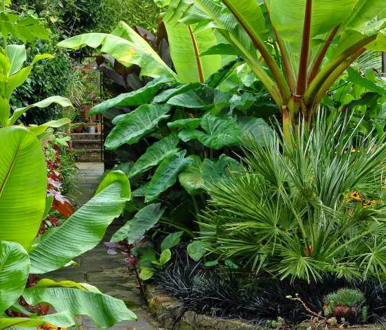 Marvelous Backyard Garden Landscape Ideas