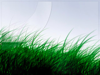 Grass Wallpapers