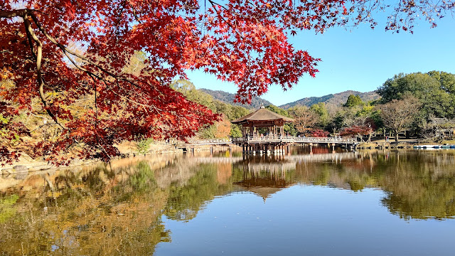 奈良公園 浮見堂 紅葉