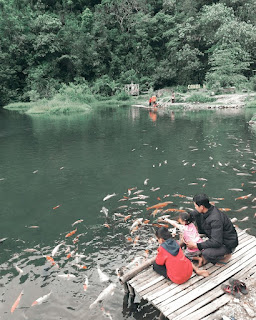 Area Sekitar Telaga Muncar Jawa Tengah