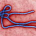 Novo surto de ebola atinge a República Democrática do Congo