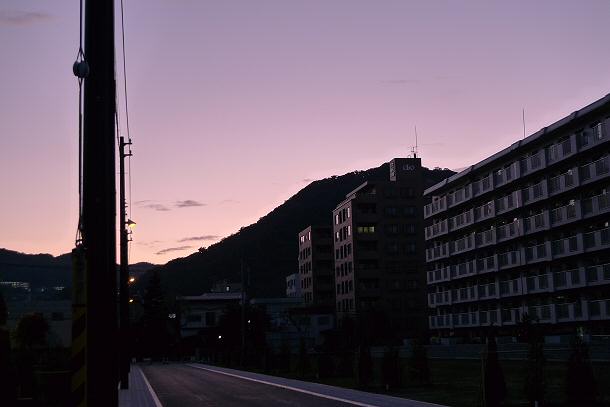 P1030230.jpg