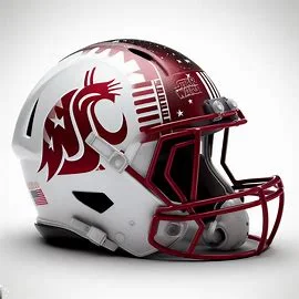 Washington State Cougars Star Wars Concept Helmet