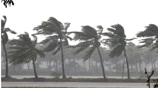IMD Alert: Today will bring heavy rain to several states, freezing winds, and a devastating cold wave