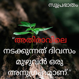 Good morning Malayalam quotes