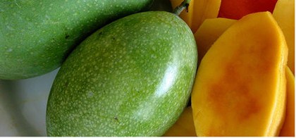 tips memilih buah mangga segar