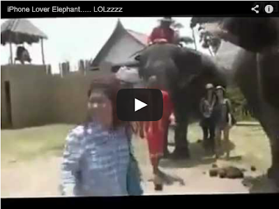 OMG - Elephant Ate My iPhone - Hilarious Video