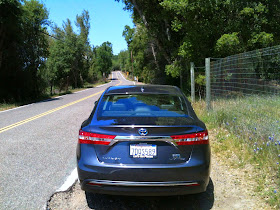 Rear view of 2014 Toyota Avalon Hybrid