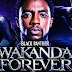 Black Panther: Wakanda Forever Free Download 