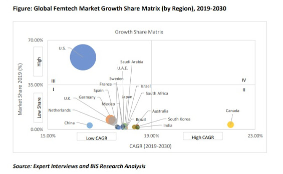 image defining various growth values in femtech market