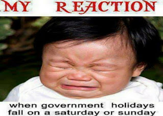 Government Holiday Saturday or Sunday Reaction Funny .jpg