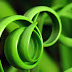 Green hoops free download desktop wallpaper
