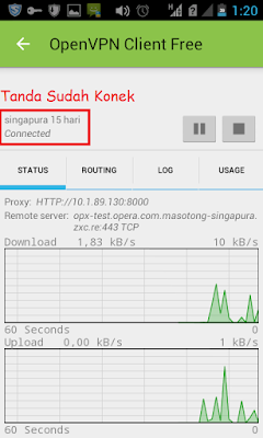 cara menggunakan openvpn android