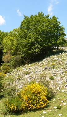 P1260710