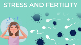 Stress And Fertility