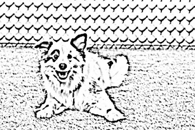 Desenhos para Colorir do Stan o Cão Blogueiro – O meu cão tem um blog