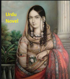 Urdu Novel