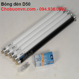 Bóng đèn D50 