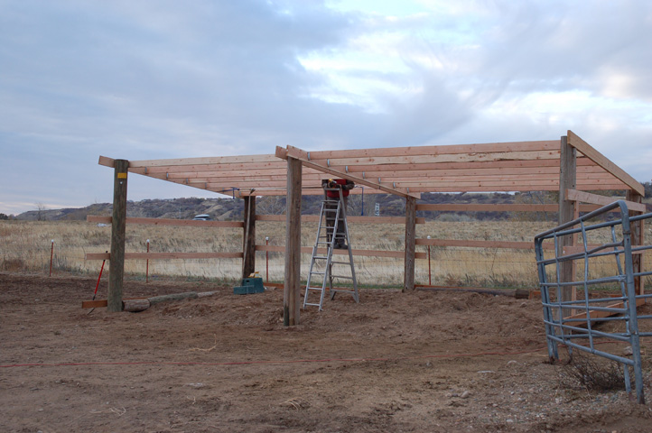 High Desert Farm Girl: DIY three sided shed for our alpacas