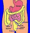 treat appendicitis without surgery