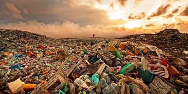 Pengertian Sampah  Dampak dan Pengelolaannya di Perusahaan 