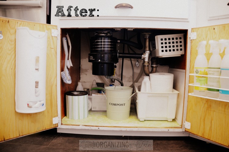 Dishwasher Under Sink