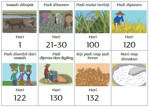  Materi dan Kunci Jawaban Tematik Kelas  Materi dan Kunci Jawaban Tematik Kelas 4 Tema 3 Subtema 1 Halaman 7, 9, 10, 11, 12, 13, 15