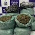 PC intercepta 16 kg de maconha transportados entre cidades