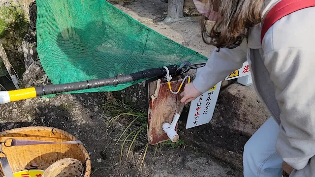 日本｜岩手縣 嚴美溪、郭公飛天糰子 - 日本第一美溪&台日友好超美味糰子