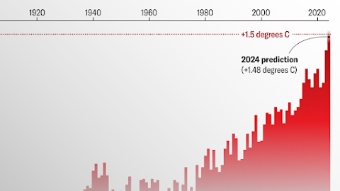 In Record-Hottest Year, U.S. Voters Will Decide Climate’s Path Forward