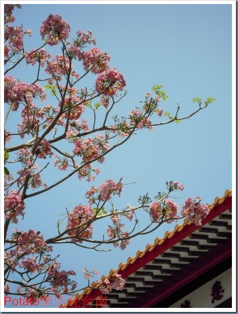 DSCN0049
