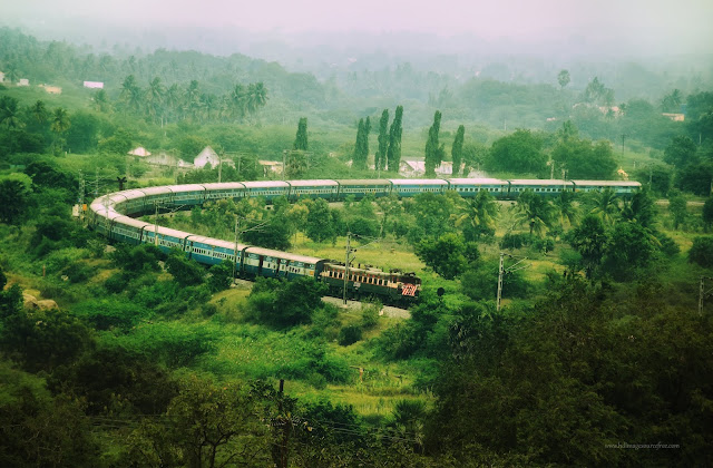 running train between green scenery
