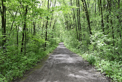 Le Grand Sentier Saint-Jerome QC.