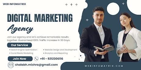 SEO Firm in Hamilton