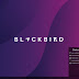 Windows 7 με Linux Netrunner 19.01 «Blackbird»